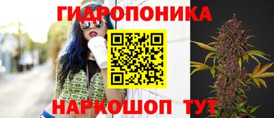 гашишное масло Заволжье